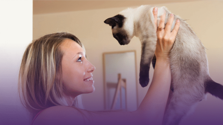 Can Cats Be Trained Like Dogs? Vet-Approved Tips Every Cat Owner Should Know